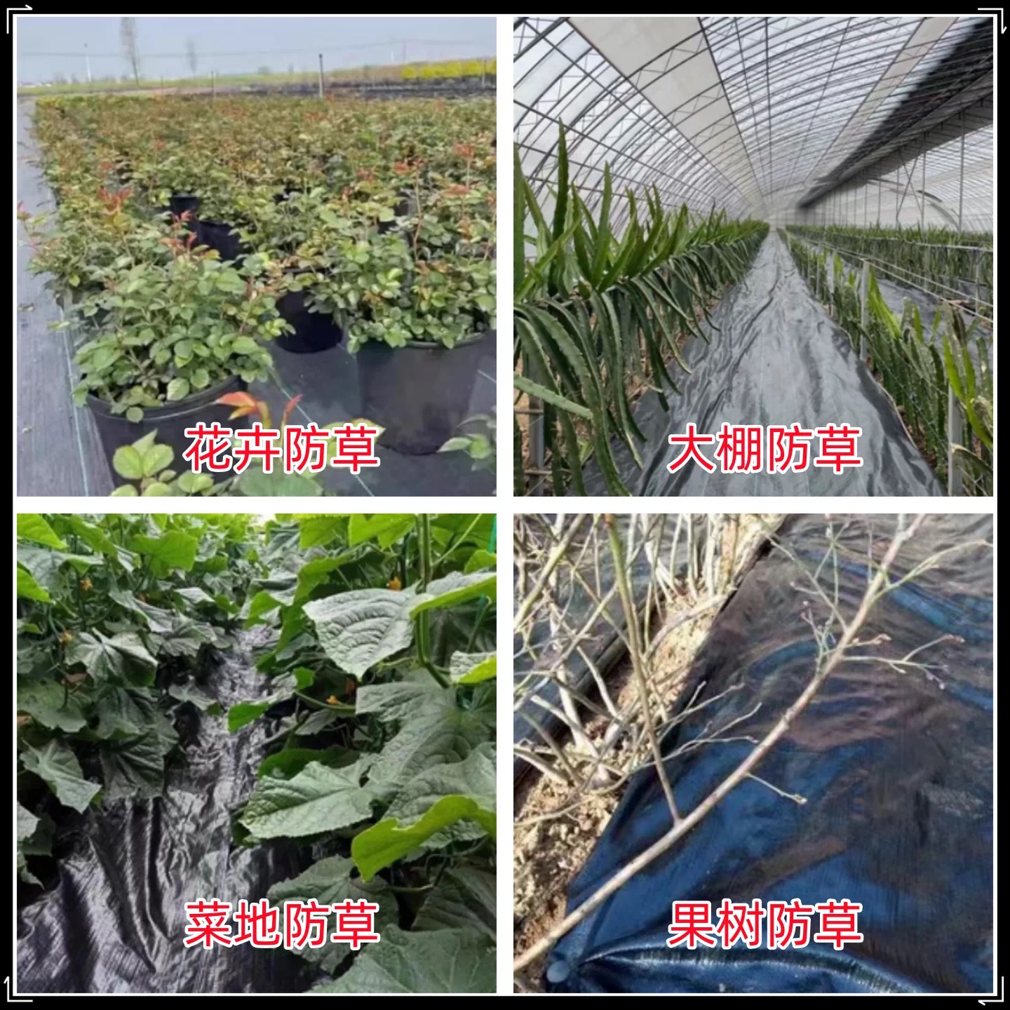 宿迁市果树反光膜防草布 - 推荐