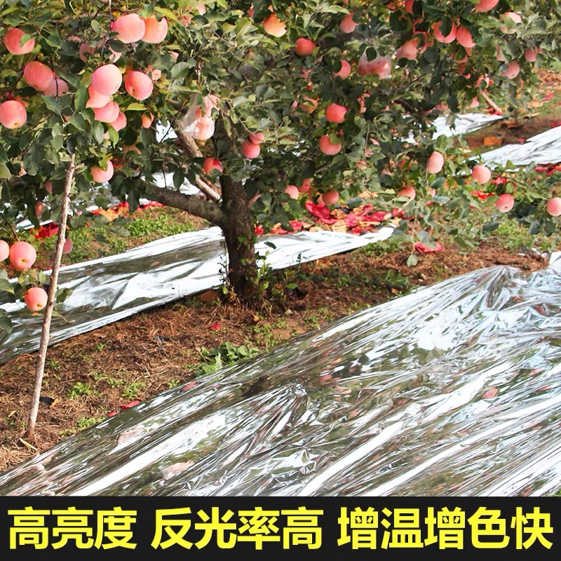 宿迁市果树反光膜果树反光膜 - 价格